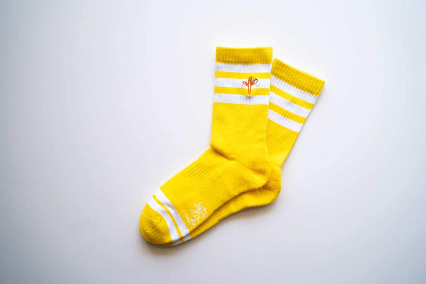 Organic Cotton Lite Crew Sock - Sunrise Session - Do Better Colab