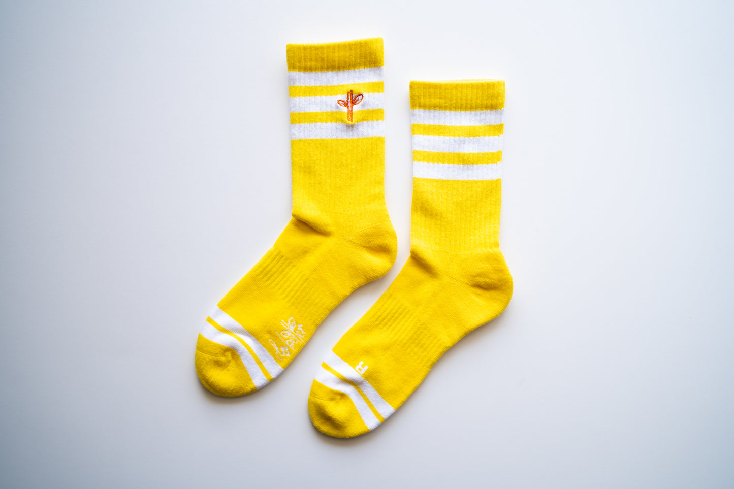 Organic Cotton Lite Crew Sock - Sunrise Session - Do Better Colab