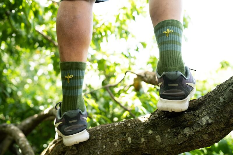 Your Guide to Choosing the Best Vegan Hiking Socks